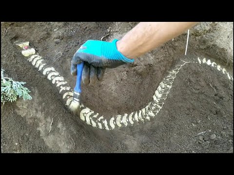 Moments of finding treasure in the world