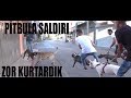 SOKAK KÖPEKLERİNİN ELİNDEN PİTBULL'U SON  ANDA KURTARDIK [PİTBULL'A SALDIRI]I!!