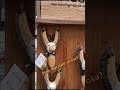 #shorts #travel #schweiz  #history #vacation