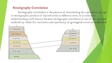 GEOLOGY | Stratigraphy correlation | Physical and Palaeontological method of correlation
