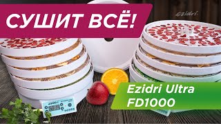 Бюджетный дегидратор Ezidri Ultra FD1000 🍊 Тест-обзор сушилки для овощей и фруктов