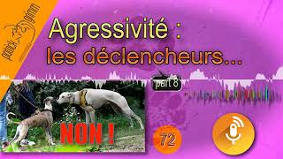 Agressivité Les Facteurs Déclenchants 8