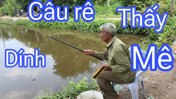 Câu rê cá ăn kéo thấy mê . Toàn cá lóc khủng kéo quá phê . Minh nước tv
