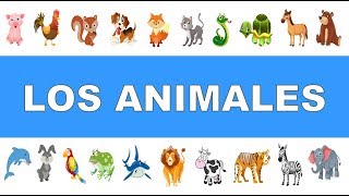 The Animals in Spanish 🦁 🐷 🐴 🐬 🐢