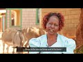 Donkeys And Livelihoods Mwingi 