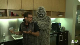 Best of Bigfootage: Tree Shaking Bigfoot or a Hoaxer?
