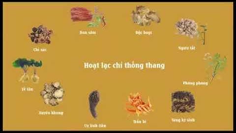 Bệnh nhân khỏi đau thần kinh tọa sau khi dùng PQA Thư Giãn Xương Khớp