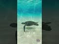 🌍Happy Earth Day |  Earth Day Reflections | 🌍Reels🌱