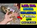 Lava una moneda con agua y azúcar  ponla en tu bolso y mira que sucede!