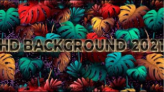 Jungle leaves background video