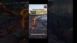 Doğada Çay Başkadır