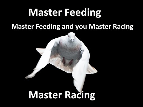 Master Feeding and