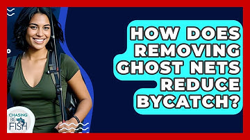 How Does Removing Ghost Nets Reduce Bycatch? - Chasing Big Fish