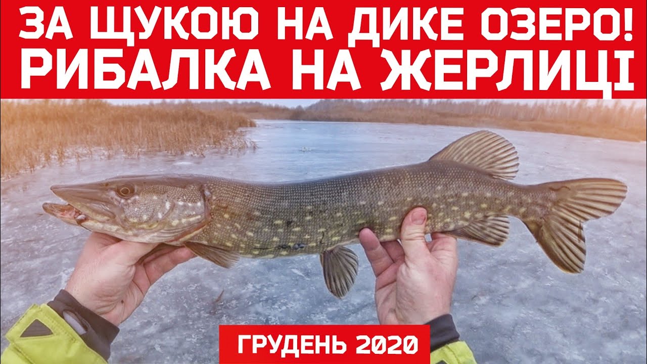 Рибалка на жерлиці взимку 2020