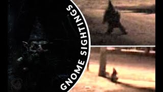 Gnomes Caught on Camera