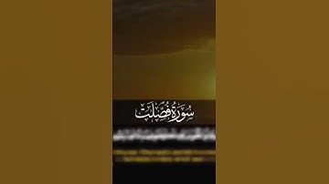 💚 سورة فصلت للشيخ _هيثم الدخين تلاوة خاشعة جدا 🌙💙👍