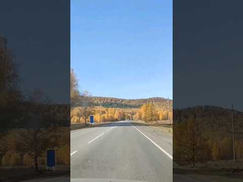 ТРАССА #М5 И ЗОЛОТАЯ ОСЕНЬ! #природаУрала #ЮжныйУрал #Челябинскаяобласть #золотаяосень #бабьелето