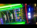 Some frog pokie machine max bet nice feature