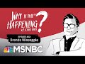 Chris Hayes Podcast With Brenda Wineapple | Why Is This Happening? - Ep 62 | MSNBC