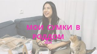 :    2024 |    