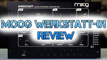 Moog Werkstatt Review – Powerful Synth in a Small Box