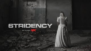 Post Industrial / Dark Ambient / Ebm Mix 'Stridency' | Bass Music