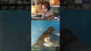 why did he keep looking into the wall 💀 #neokcs #cs2 #funnymoments #cheating #detective