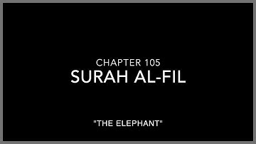 Surah Al-Fil (The Elephant) ‏سورة الفيل 🐘 Mishary Rashid Alafasy