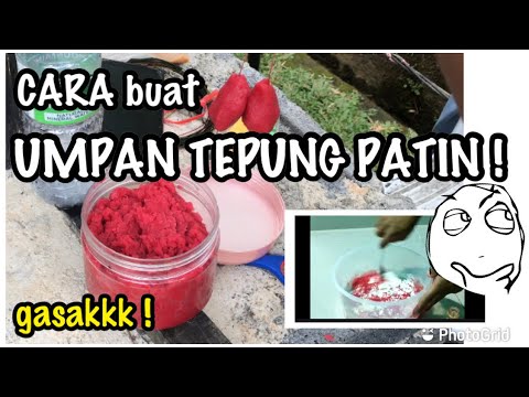 CARA BUAT UMPAN TEPUNG PATIN !