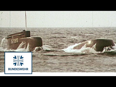 Los Flamantes 206A de la Armada Colombiana  wwwelSnorkelcom