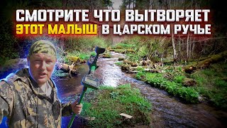 СМОТРИТЕ ЧТО НАШЁЛ ЭТОТ МАЛЫШ. ЦАРСКИЕ НАХОДКИ В ЦАРСКОМ РУЧЬЕ. #Мужские_Интересы #поискмонет #коп