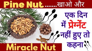 QUICK & EASY PREGNANCY TIPS l Pine Nut ? For Getting Pregnant l  heenabehealthy