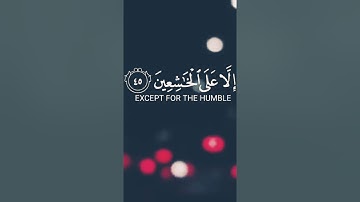 #القرآن_الكريم #foryou #fypシ #راحة_نفسية #ايات #صوت_جميل #تلاوة_هادئة #القارئ_عبدالرحمن_مسعد #short