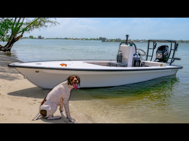 Catching a Strange River Monster While Chasing After Big Fish 