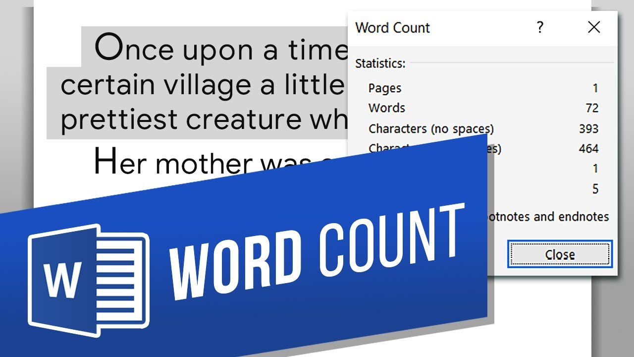 essay checker word count