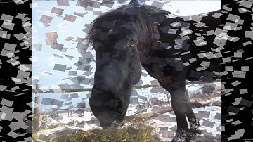 Ceasar ~ Brave: into the open air