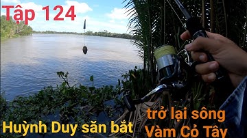 Tập 124 | Sau Một Thời Gian Bị Treo Dò . Em Trở Lại Sông Vàm Cỏ Và Cái Kết #huỳnhduysănbắt #cauca