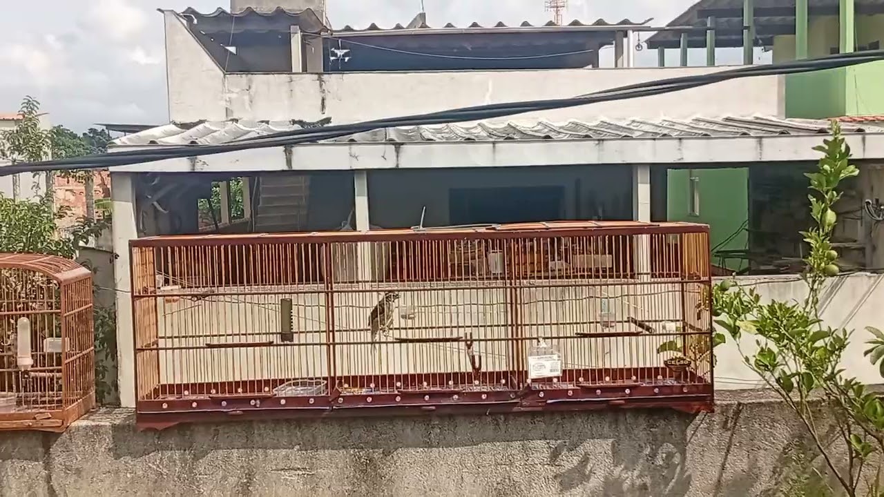 23 de fevereiro de 2026