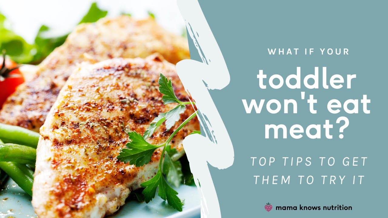 If your toddler doesn’t want to eat meat (what to do!) YouTube