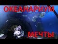 ОКЕАНАРИУМ МОРСКАЯ СКАЗКА в КИЕВЕ (м. ДАРНИЦА) это БОЛЬШОЙ АКВАРИУМ | ОПТИМИЗАТОР