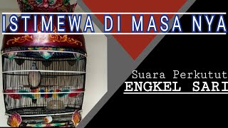 Jadi ini namanya Suara Perkutut Engkel Sari