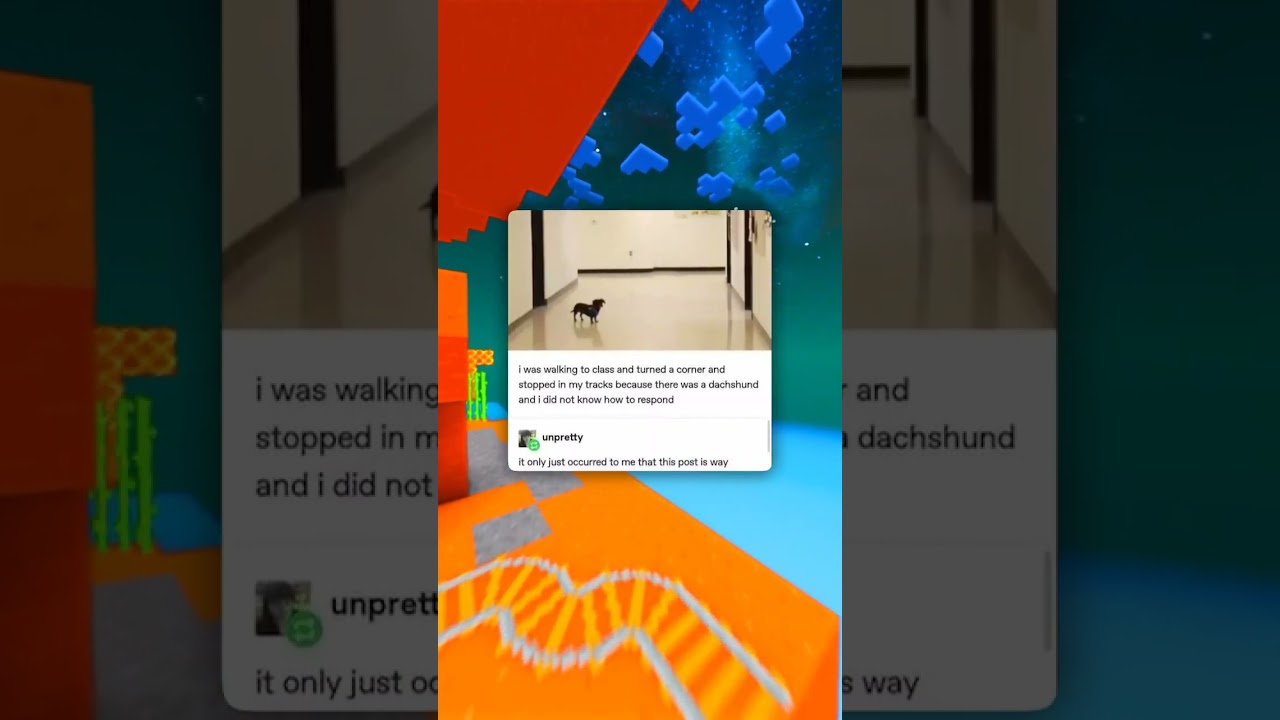 Идем на занятия!