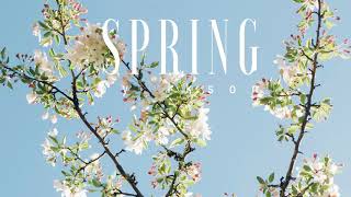 #54 Spring (Official)