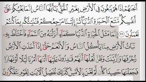 (10) سورة يونس | شيخ الزين محمد احمد