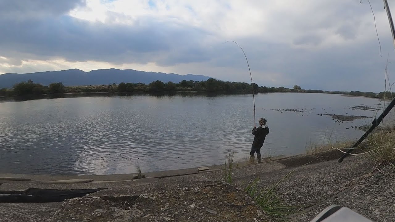 ワッキーを求めて…