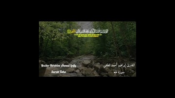 تلاوة خاشعة من سورة طه ✨