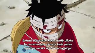 One piece eps 916 sub indo