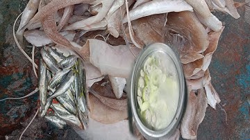 Sáng ra cào bị hư bơm rây  nghĩ rảnh làm khô hủ quá hằm # A Xiềl Dân Biển Youtube 