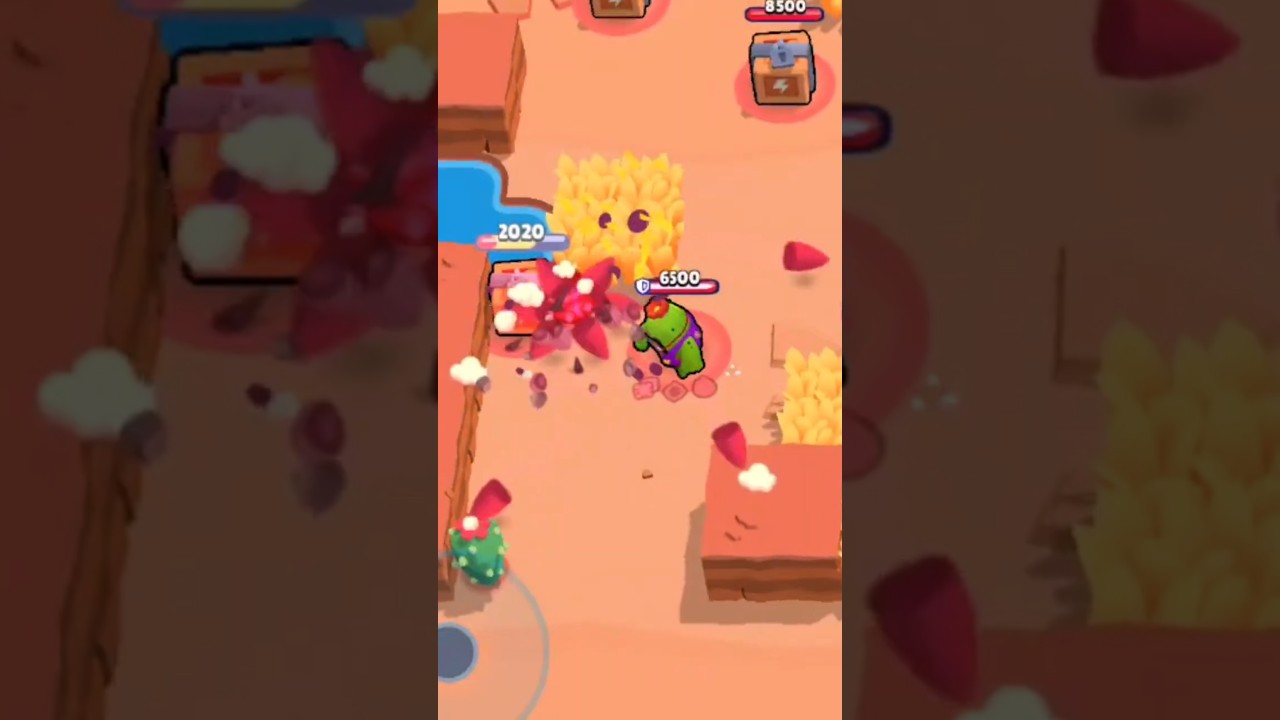 WHAT ARE THEY DOING 😭
