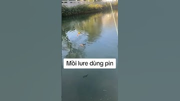 mồi lure công nghệ đây anh em #caulure #câucá #fishing #moilureloc